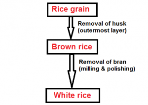 brown rice to white rice